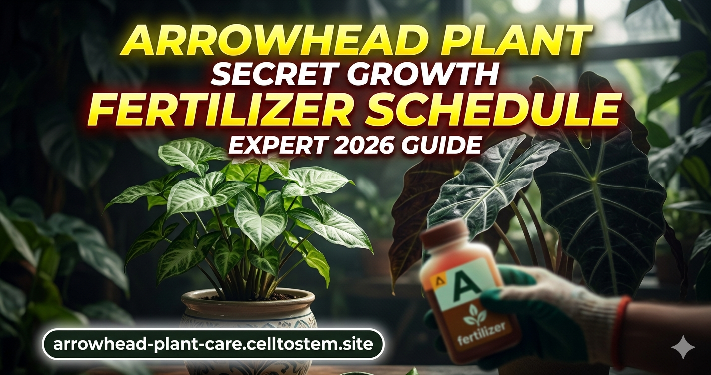 arrowhead plant fertilizer schedule
